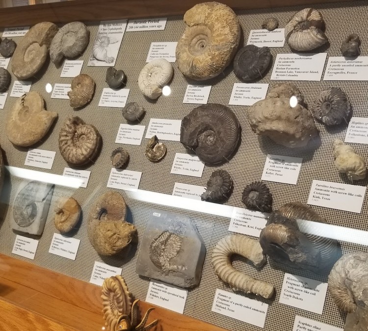 augustanas-fryxell-geology-museum-photo